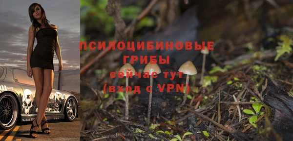 спайс Абдулино